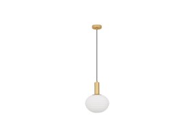 Pakabinamas šviestuvas ALLEN 9028844